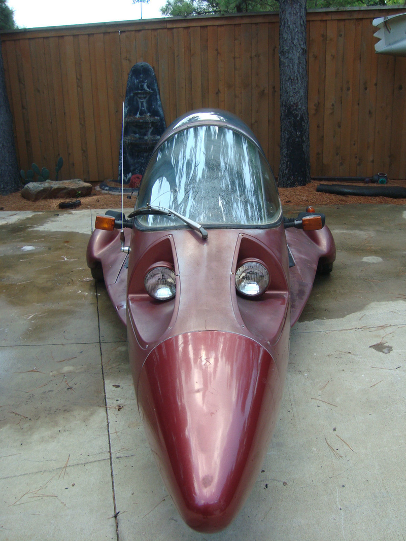 Illustration for article titled eBay Find of The Day: Uhm, What? ed.